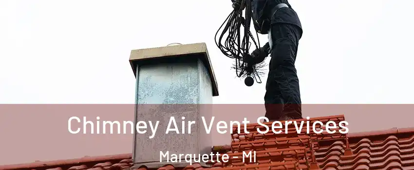  Chimney Air Vent Services Marquette - MI