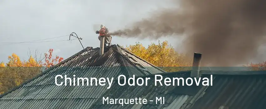  Chimney Odor Removal Marquette - MI