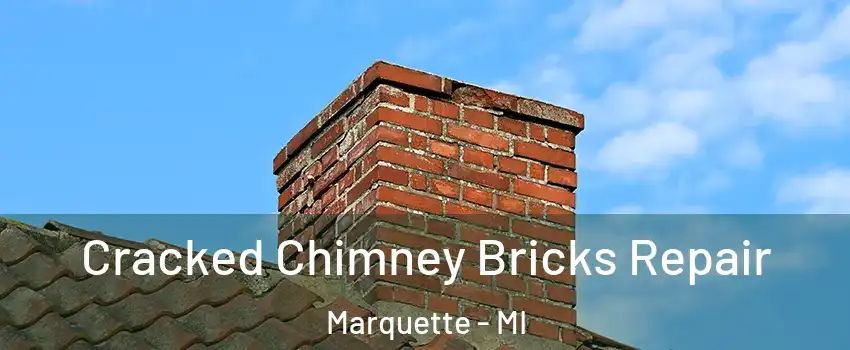  Cracked Chimney Bricks Repair Marquette - MI