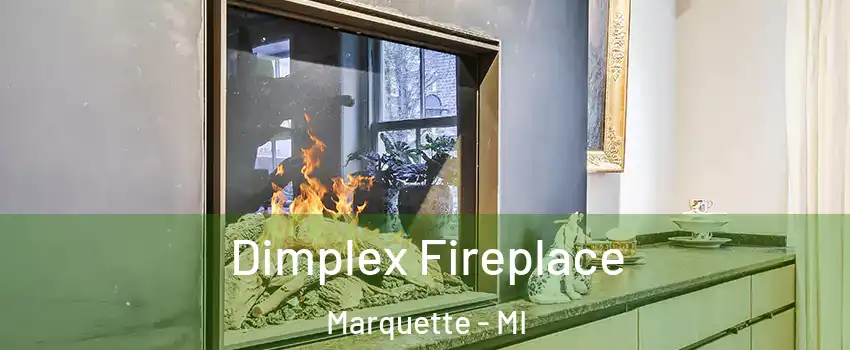  Dimplex Fireplace Marquette - MI