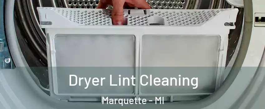  Dryer Lint Cleaning Marquette - MI