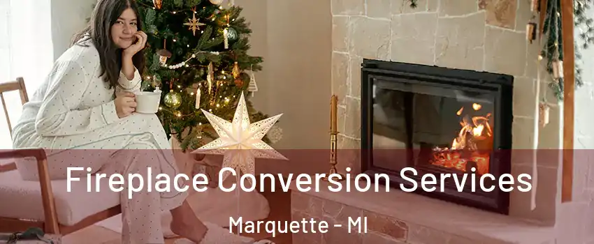  Fireplace Conversion Services Marquette - MI