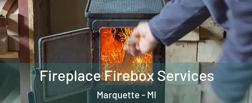  Fireplace Firebox Services Marquette - MI
