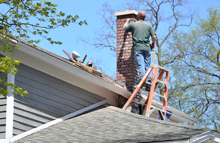 Chimney & Fireplace Inspections Services in Marquette, MI
