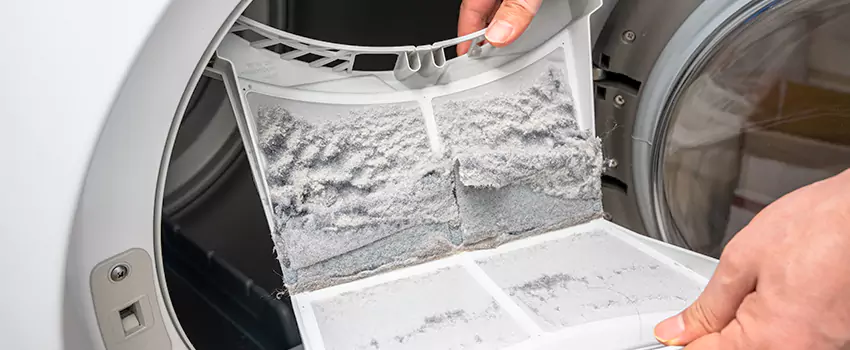 Best Dryer Lint Removal Company in Marquette, Michigan