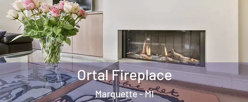 Ortal Fireplace Marquette - MI